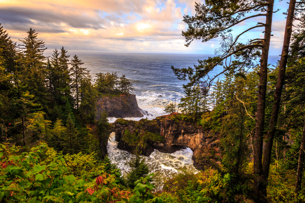 Tall green trees grow on the hillsides. Rocky cliffs create a cove. The ocean can be seen in the distance.