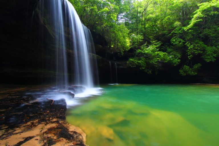 Upper Caney Creek Falls in the William B Bankhead National Forest of Alabama