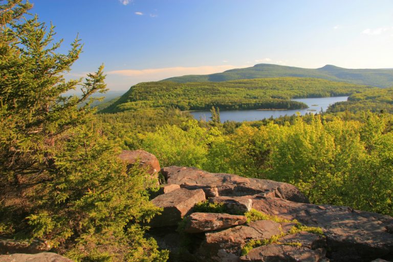 A rocky overlook with a tall green tree. Forest covered hills and a river running between them..