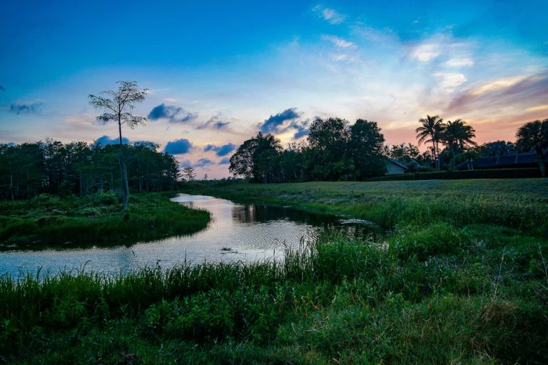 Purple, blue and pink colors mark a sunset over a river and wetland area