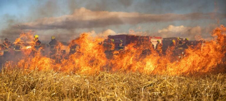 a fire rages across brush, a reminder of the possible dangers of a camping trip during wildfire season