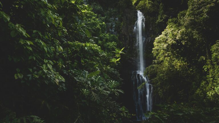 Wailua Falls, one of the best Hawaii waterfalls