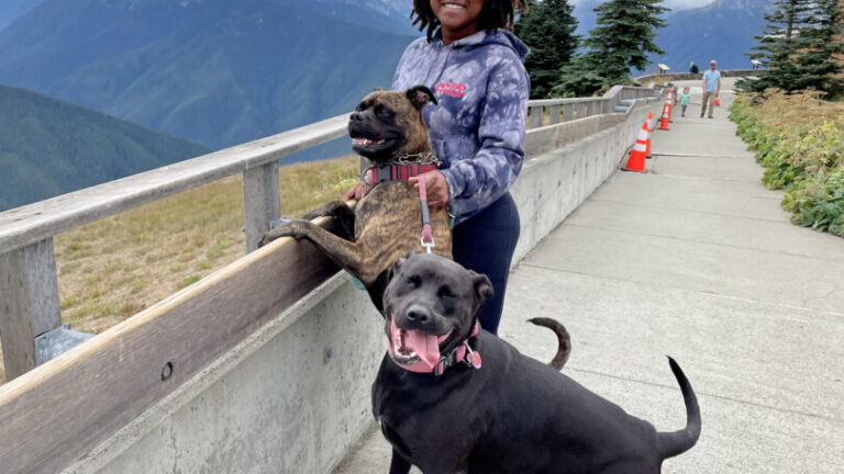 Woman smiles with her two dogs on an overlook