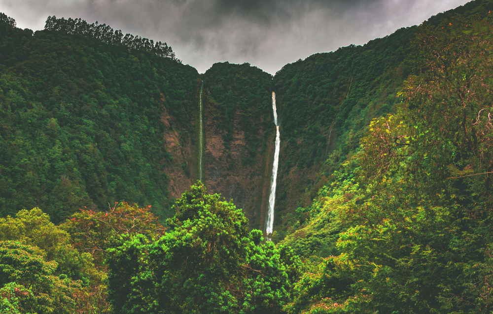 Hiilawe Falls, the biggest and tallest waterfall in the state that feeds the river winding through Waipio Valley in the Hamakua district on the north shore of the big island of Hawai'i, United States.