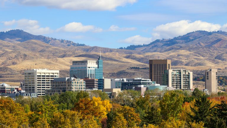 A cityscape in front of rolling mountains. Autumn colored leaves sit in the foreground.