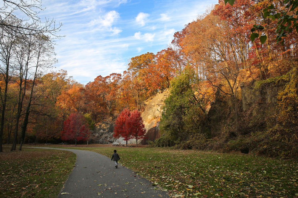 The rock climbing wall at Alapocas Run State Park, Wilmington, Delaware, USA in the colorful fall