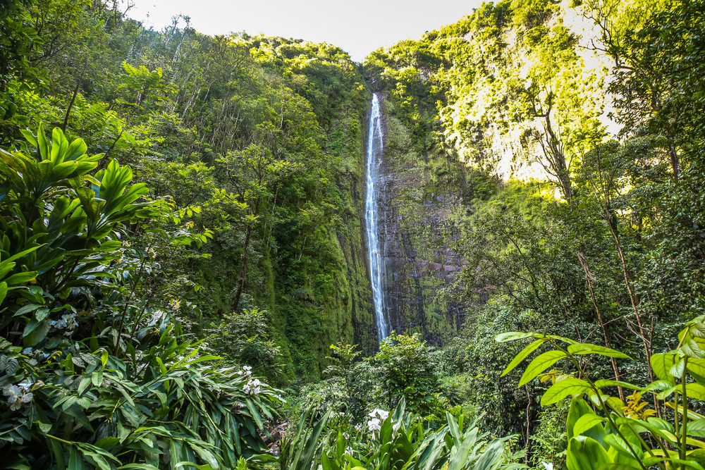 Tall Waimoku Falls on Maui island, Hawaii