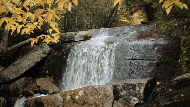 Little waterfall in the woods, much like the Massachusetts waterfalls listed here