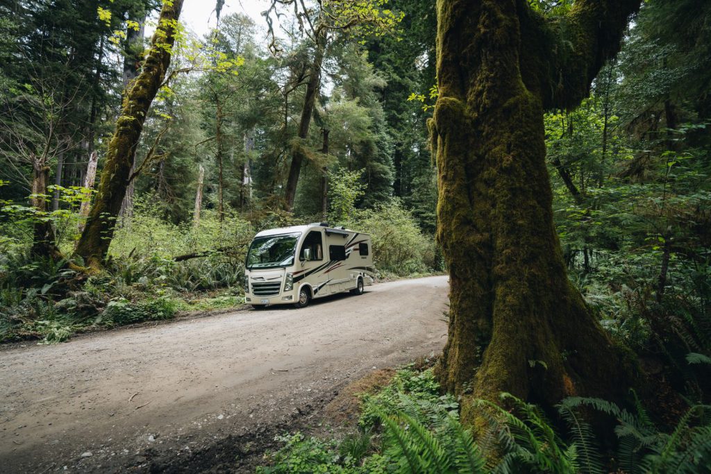 RV driving through a forest