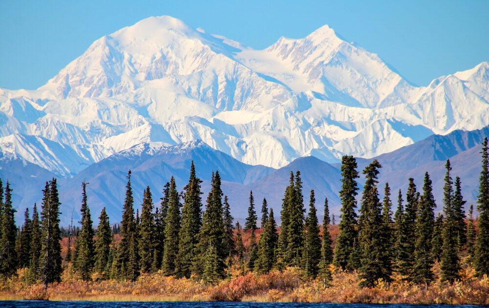 Denali National Park