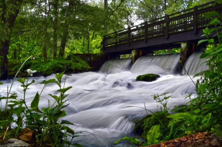 This striking photo was captured on a summer afternoon at Meramec Spring Park in St. James, MO. Meramec Spring Park is one of the beautiful spots to be found in Missouri.