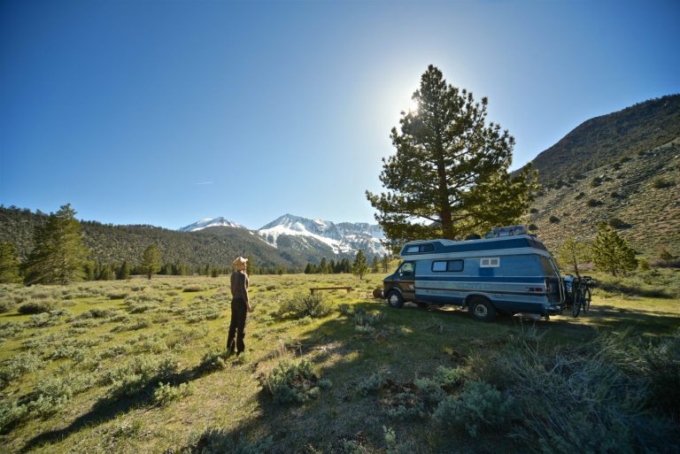 Campervan parked in grass