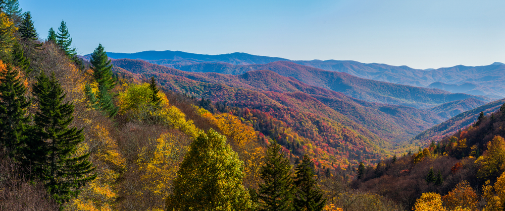 Autumn Scenics in the Great Smoky Mountains National Park