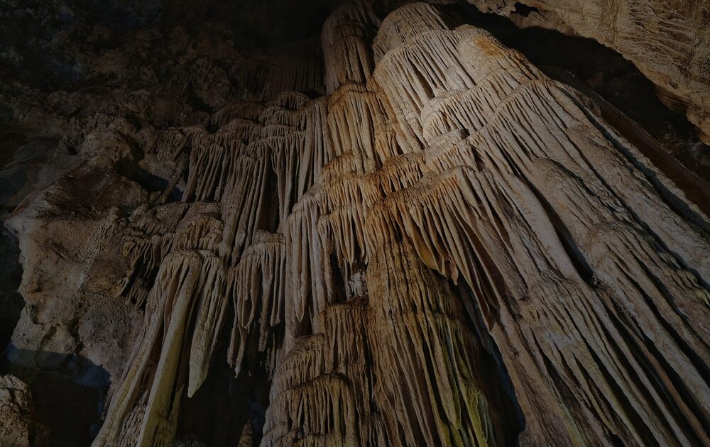 Mammoth Cave National Park