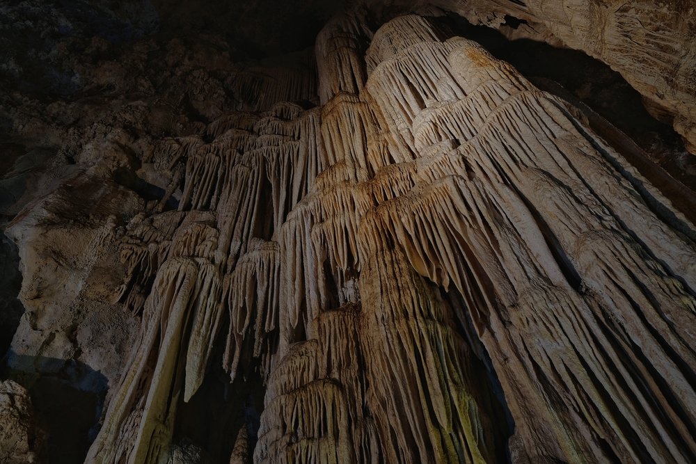 Mammoth Cave National Park