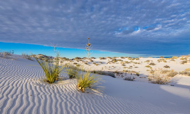 Sunset in White Sands National Park