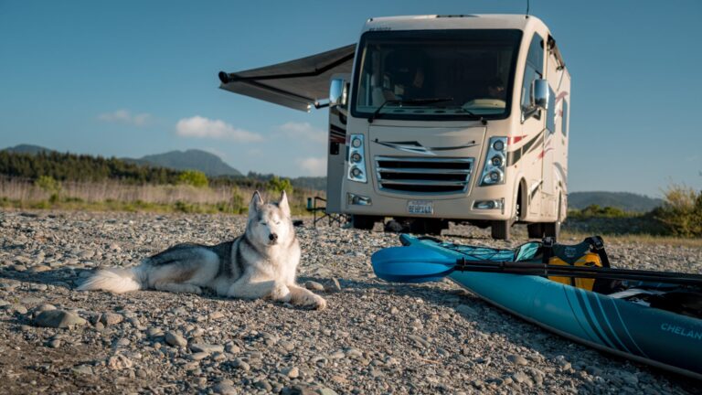 rv parked on the beach with a dog