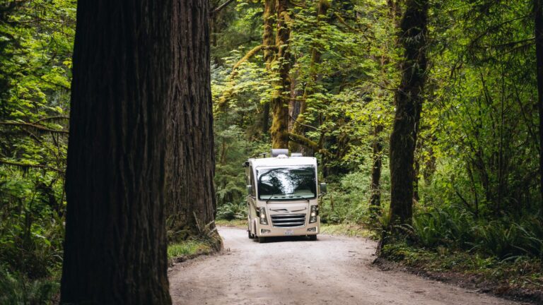 rv driving in the woods