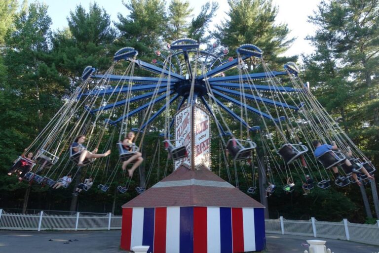 carnival swing ride