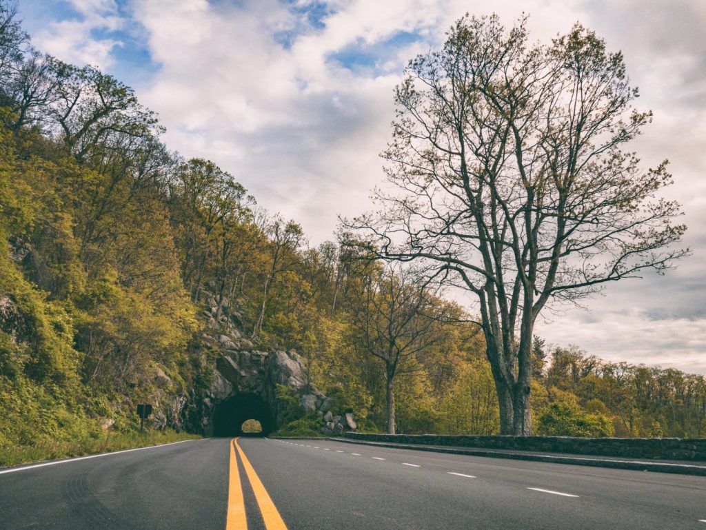 empty road leading into a tunnel at Shenandoah national park