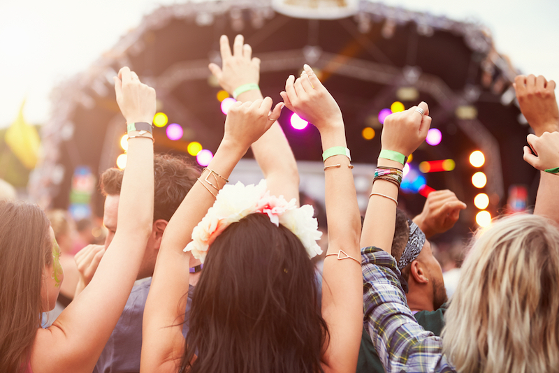 festival goers enjoying a concert