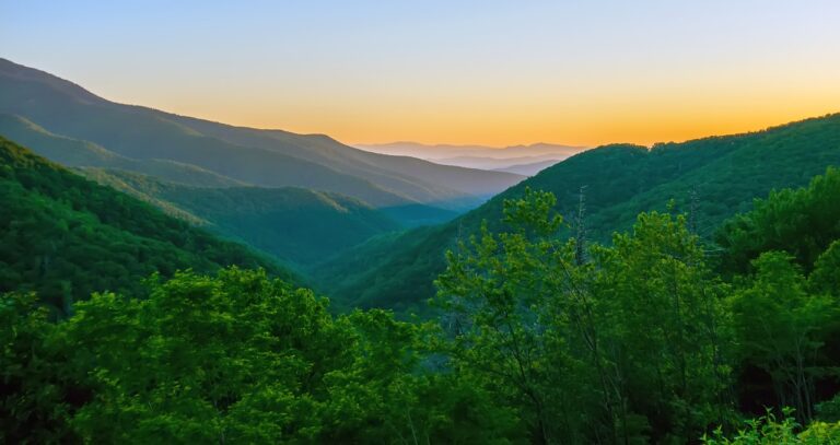 The view from the Blue Ridge Parkway across trees and mountains