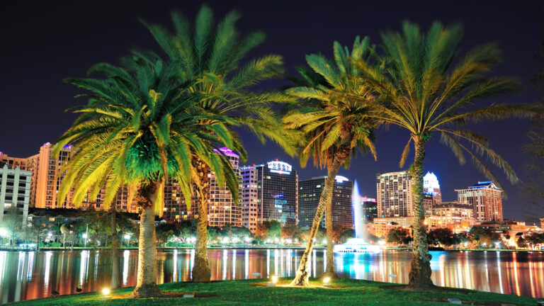 Palm trees line the bay in Orlando at night