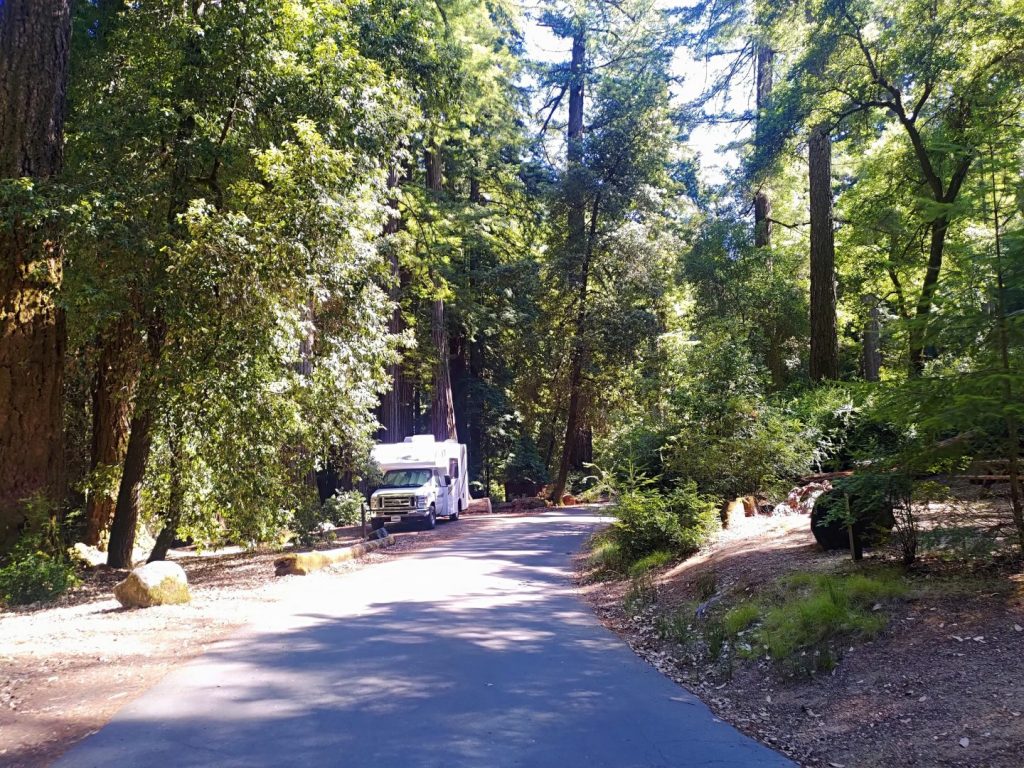 Class C RV parked on the road in the woods