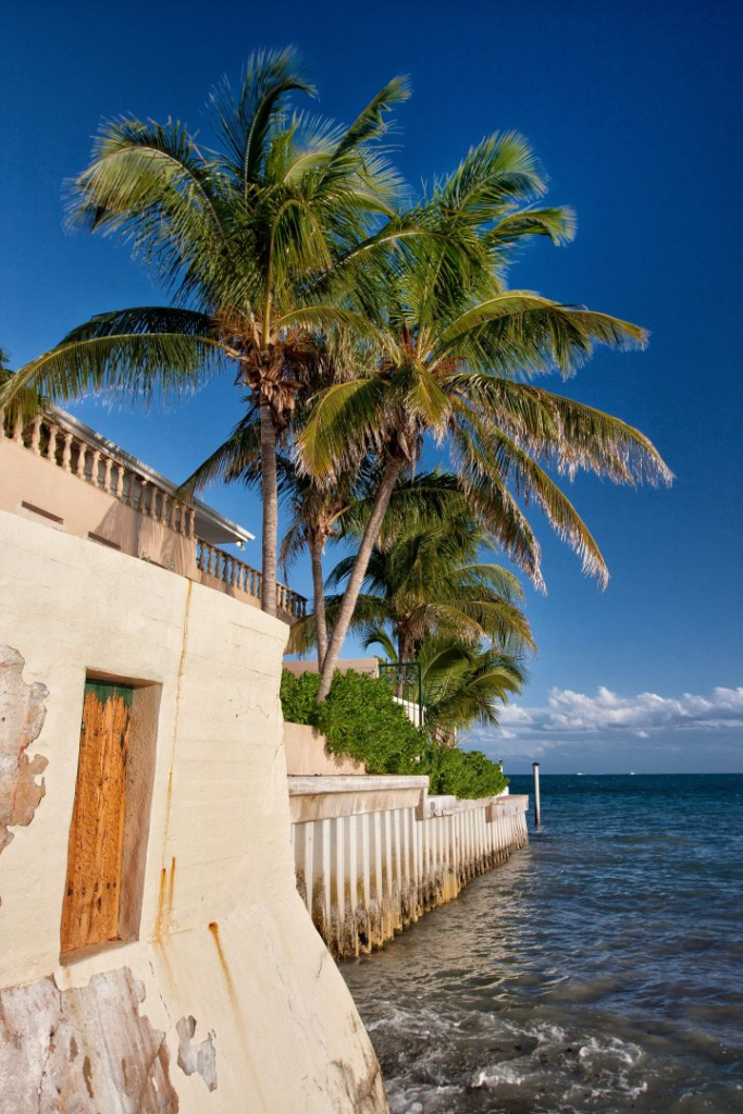 a building with palm trees over the water