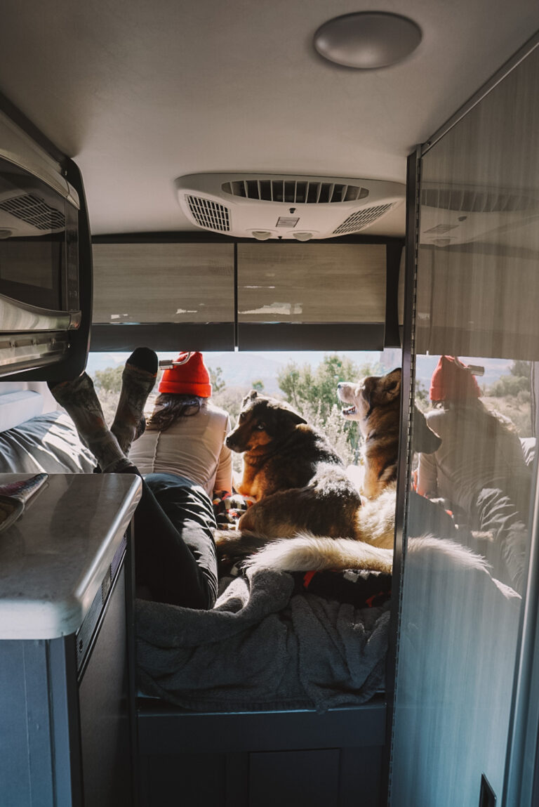 woman and dogs inside her Class B camper