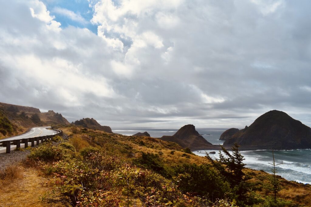 Fall foliage on the coast of the PNW