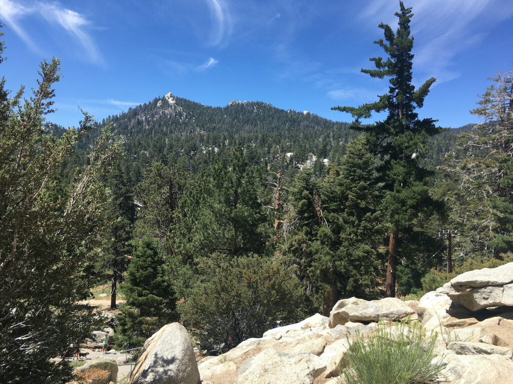 Mt San Jacinto State Park