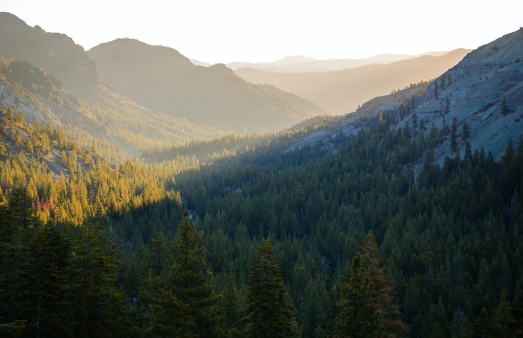 Stanislaus National Forest