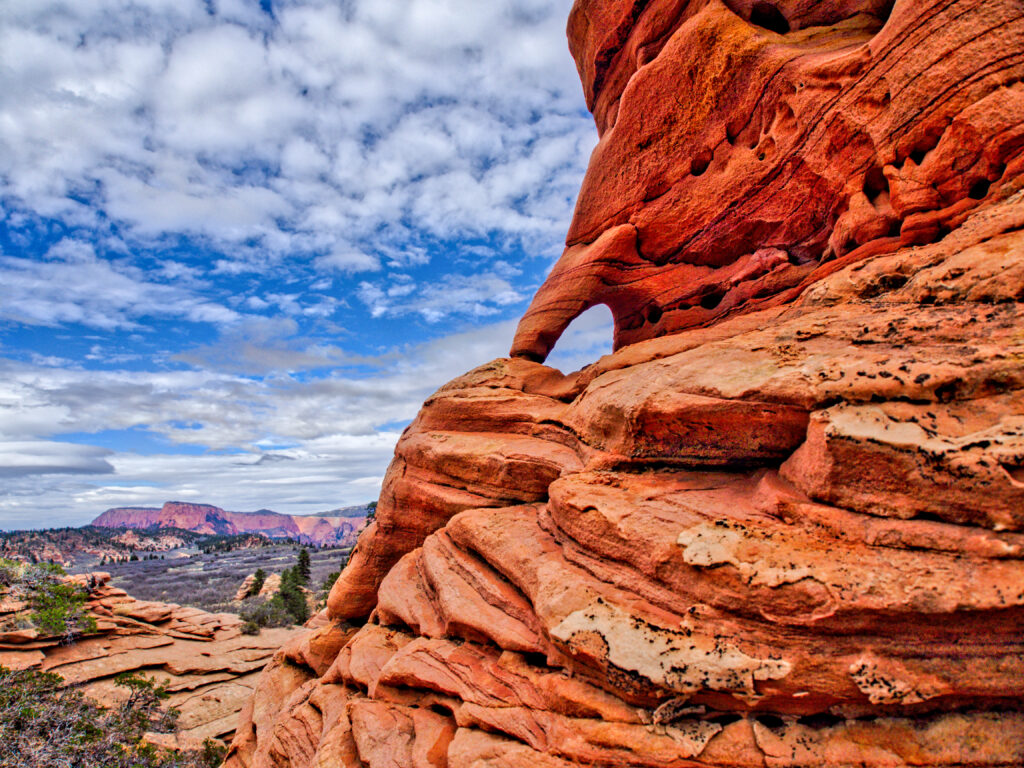 Hoodoo and trees, Zion National Park