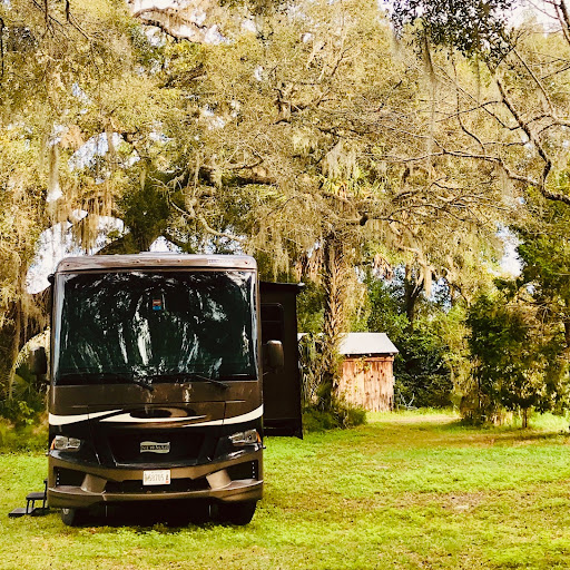 rv parked under trees