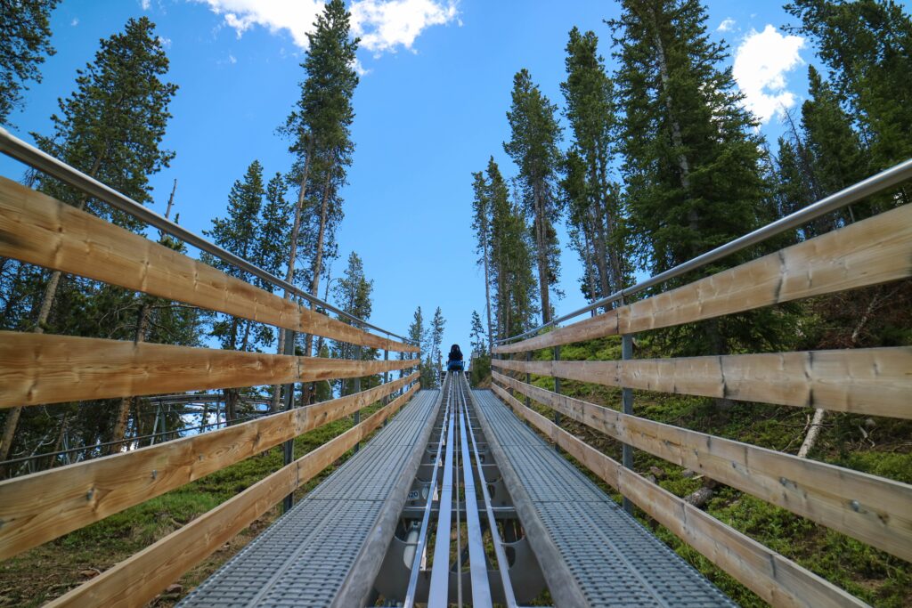 Mountain coaster