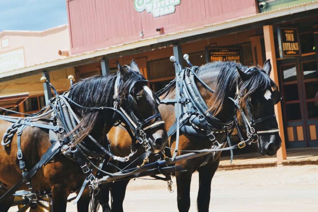 Horses in Tombstone