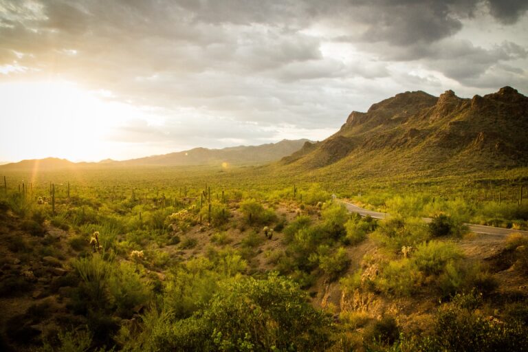 Wilderness outside of Tucson, a great place to escape the city