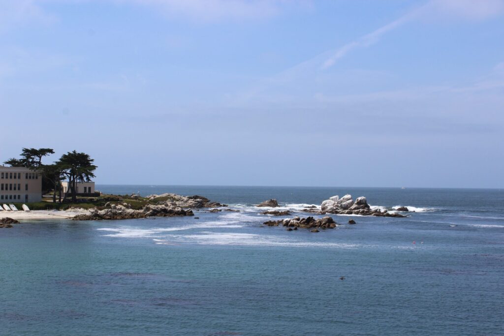 Monterey Bay Aquarium