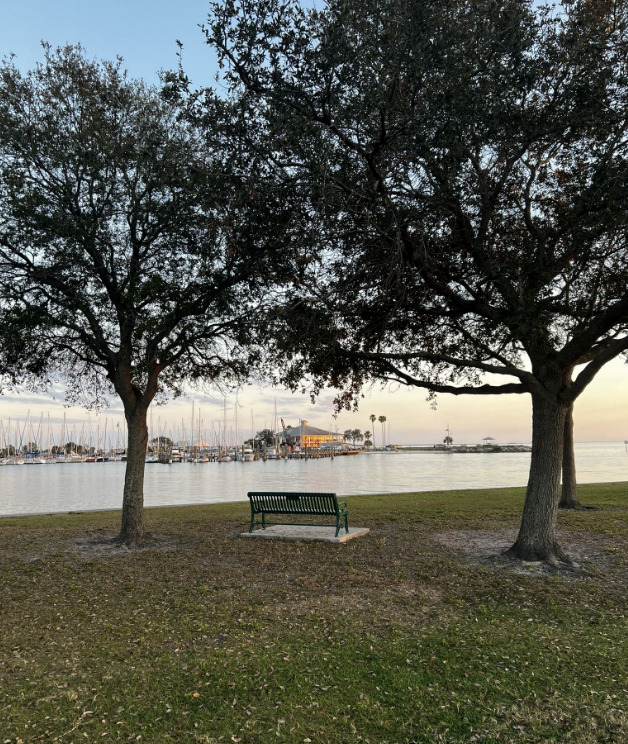 a park bench along the Davis Island Trail