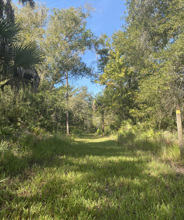 the Cypress Creek Red and Yellow Loop at Cypress Creek Preserve