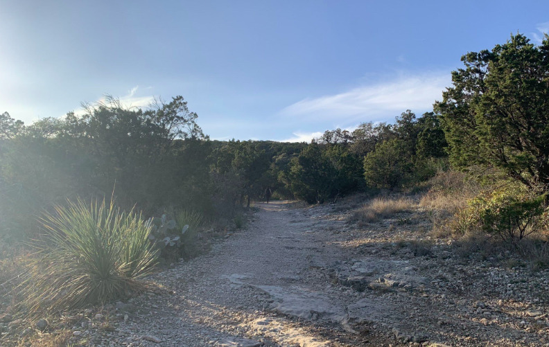 The Bush Hill via Hillview Nature Trail at Eisenhower Park