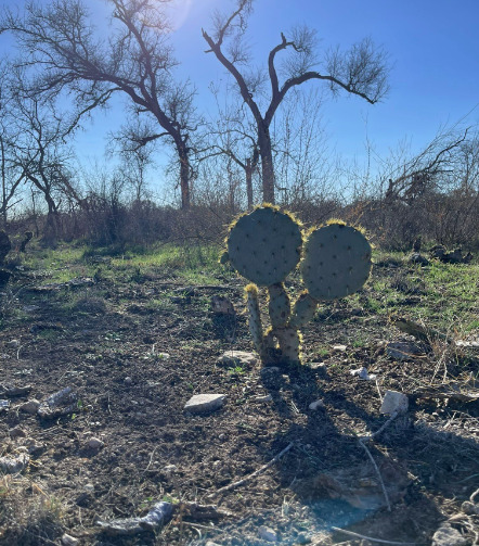 The Lytle's Loop Trail at Government Canyon State Natural Area