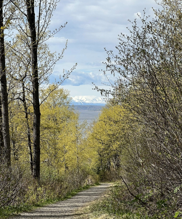 The Potter Creek Interpretive Trail, with snowcapped mountains in the distance