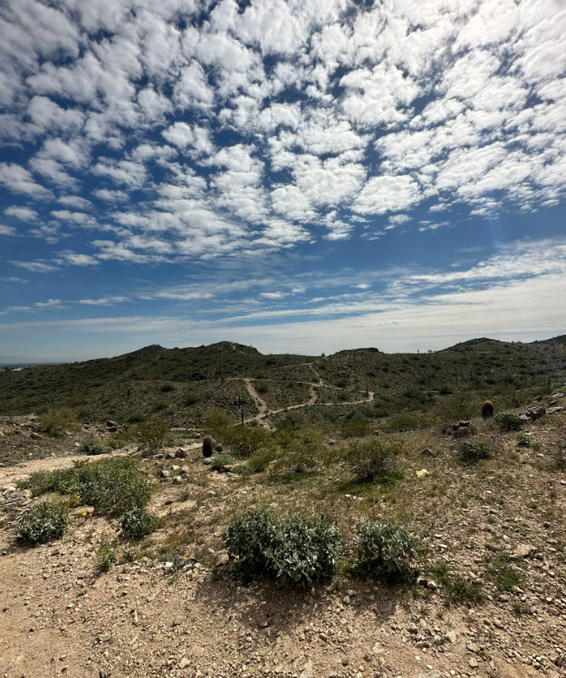 Javelina Canyon and Ridgeline Loop Trail