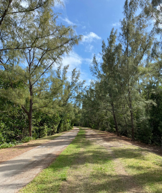 The Chapman Field Park Trail in Coral Gables, FL