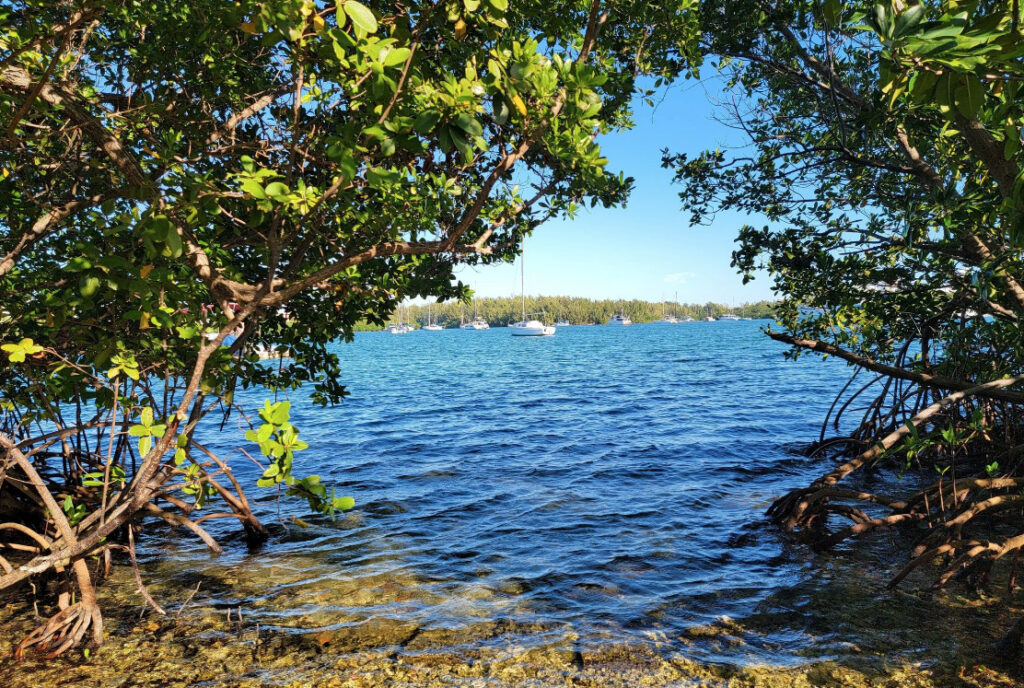 The Flu Biscayne Bay Arch Creek East Trail in North Miami Beach