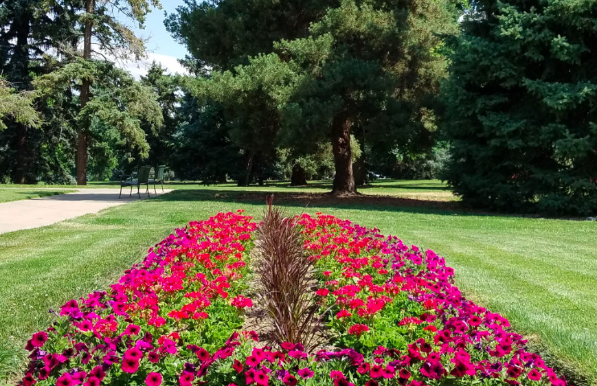 Cheesman Park Outer Loop trail