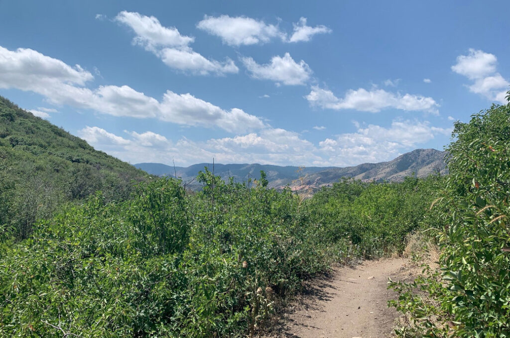 Rooney Trail Loop