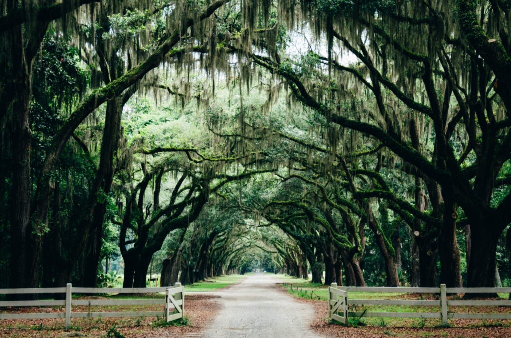 Park in Savannah, GA